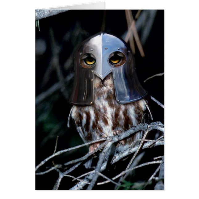 Hibou de chevalier (Devant)