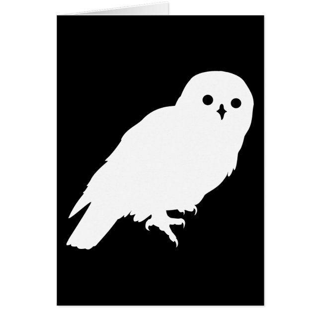 Hibou de grange blanc des meilleurs prix (Devant)