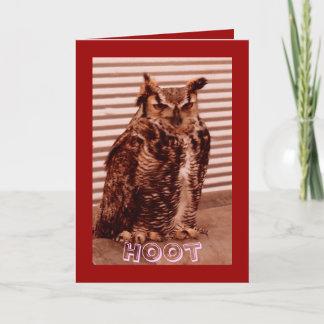 Hibou de huée, la carte de Valentine