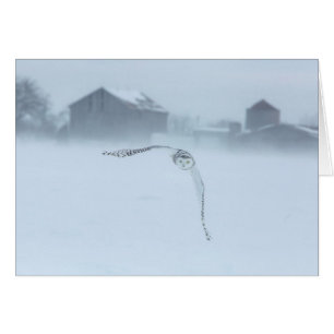 Hibou des neiges en vol en hiver
