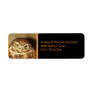 Hibou d'un bon étiquette de adresse de Halloween