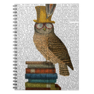Hibou sur des livres
