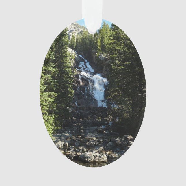 Hidden Falls dans le parc national de Grand Teton (devant)