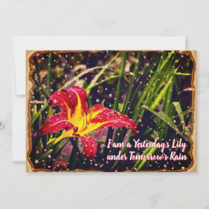 Hier Lily dans demain pluie Carte postale