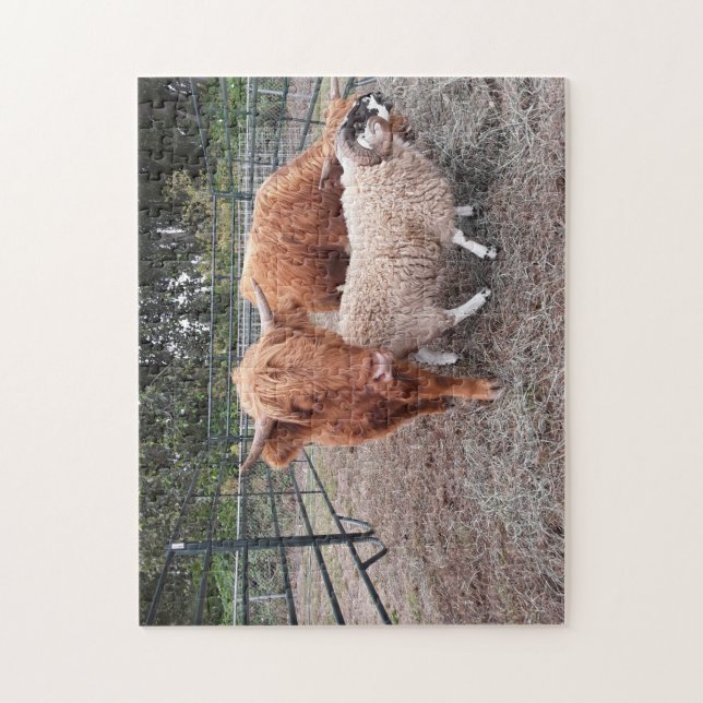 Highland Coos et Sheep Jigsaw Puzzle (Vertical)