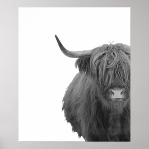 Highland Cow Scotland Russe noir blanc Poster
