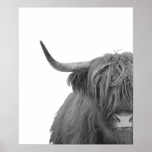Highland Cow Scotland Russe noir blanc Poster
