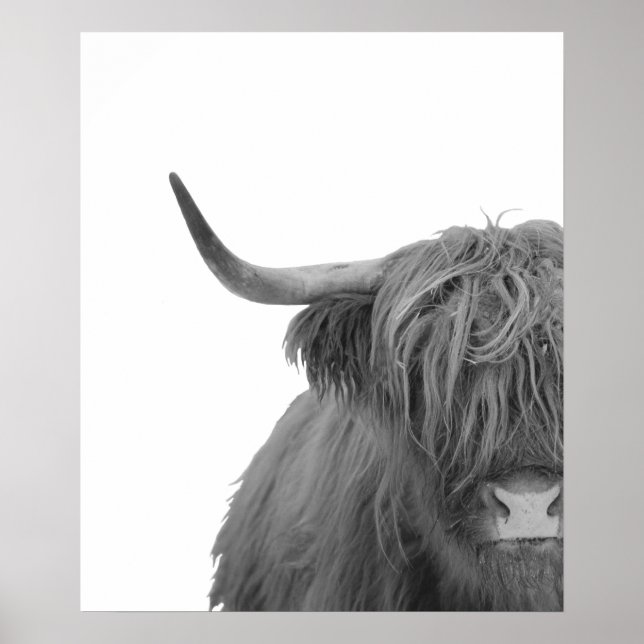 Highland Cow Scotland Russe noir blanc Poster (Devant)