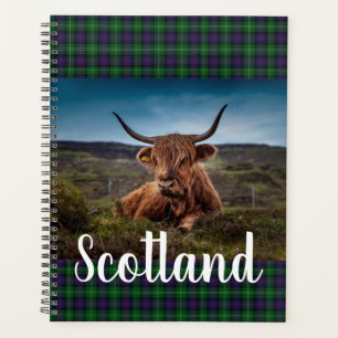 Highland Steer Écosse Pittoresque