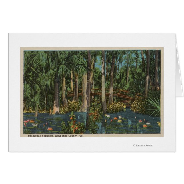 Highlands County, FL - Vue sur Highlands Hammock (Devant horizontal)