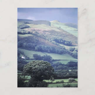 Hillside in Wales Carte postale britannique