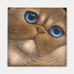 HIMALAYAN PERSIAN CAT Magnet