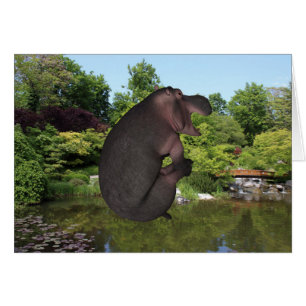 Hippo de canonball
