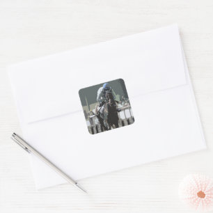 Hippocampe Avec Jockey Dans Stickers Bleus
