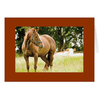 Hippocampe dans la carte de terrain