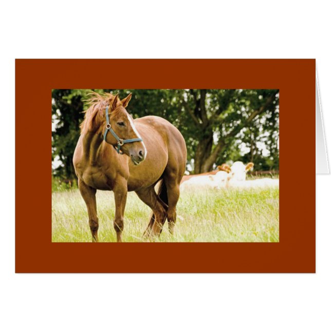 Hippocampe dans la carte de terrain (Devant horizontal)