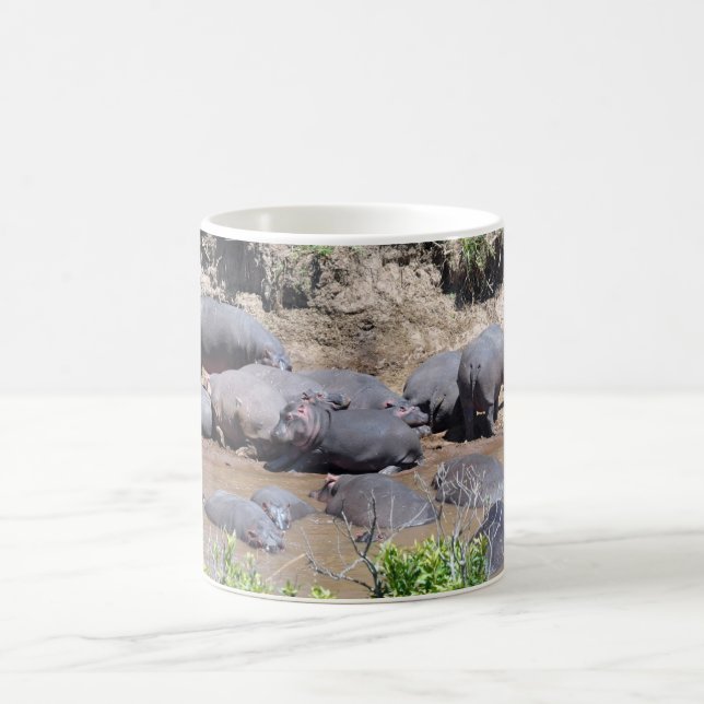 Hippopotames sur une tasse de rive (Centre)