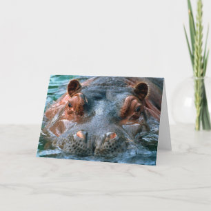 Hippopotamus #1 - Carte de voeux