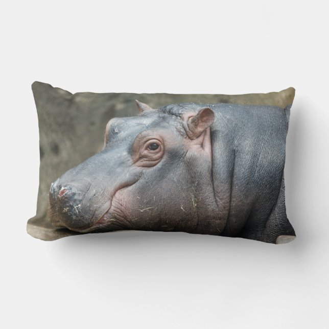 Hippopotamus oreiller de lancement personnalisé (Recto)