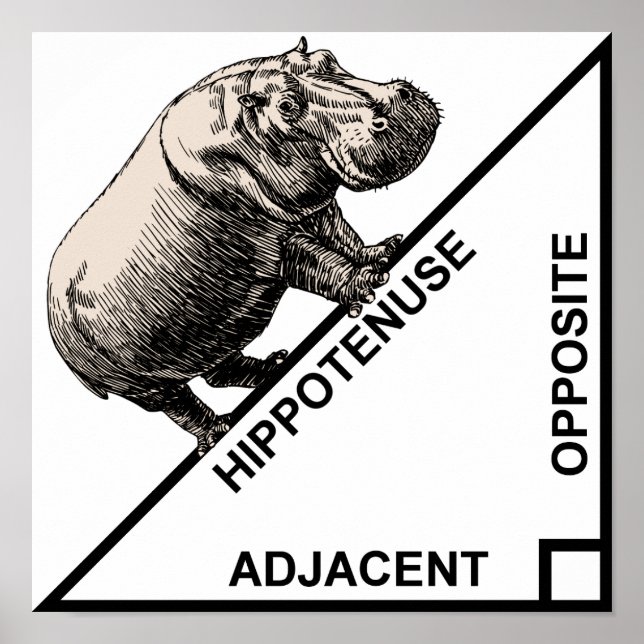 Hippotenuse Hypotenuse Funny Math Geometry Poster (Devant)