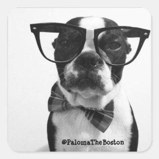 Hipster Boston Terrier avec lunettes Stickers
