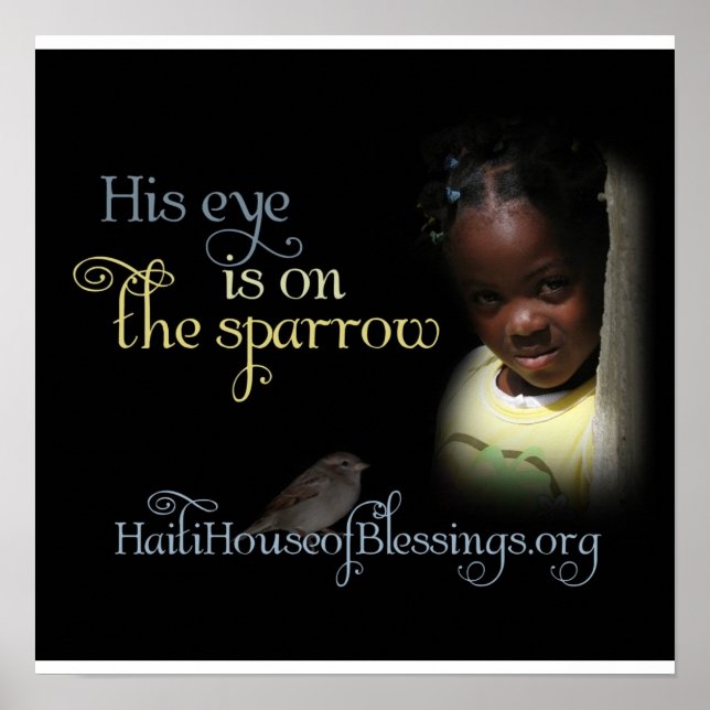 His Eye is on the Sparrow Poster (Devant)
