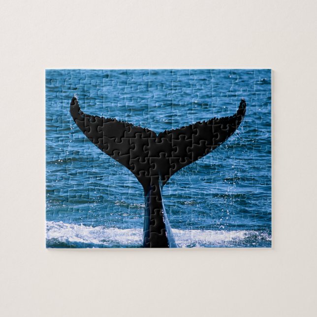 Histoire de Baleine Antarctique, Puzzle de Jigsaw (Horizontal)