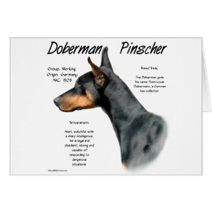 Histoire de Doberman Pinscher noir