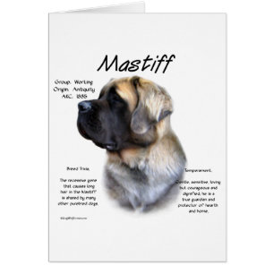 Histoire de Fluffy Mastiff