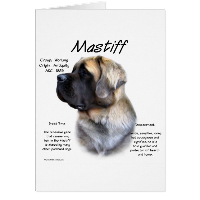 Histoire de Fluffy Mastiff (Devant)