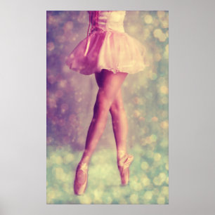 Histoire de la faune de ballet - Poster