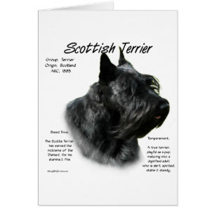 Histoire de l'Écosse noire