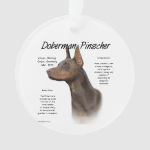 Histoire de Red Doberman