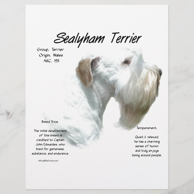 Histoire de Sealyham Terrier (Devant)