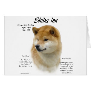 Histoire de Shiba Inu