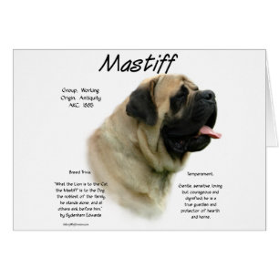 Histoire des mastiff