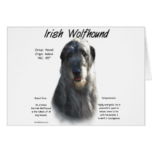 Histoire du loup irlandais gris