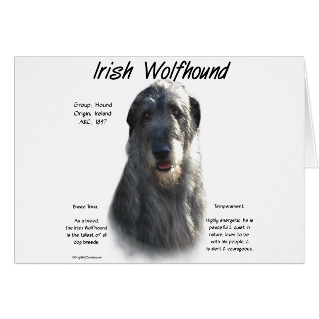 Histoire du loup irlandais gris (Devant horizontal)