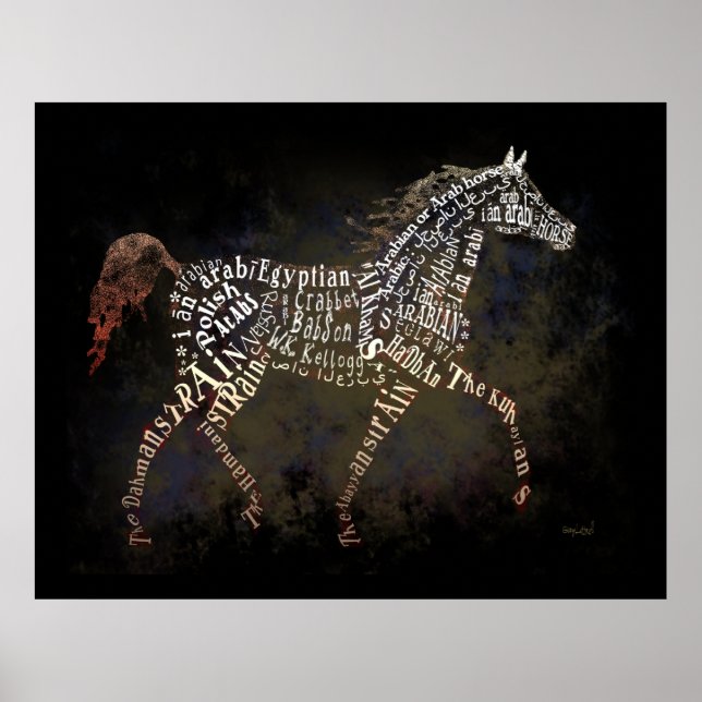 History of the Arabian Horse Poster (Devant)