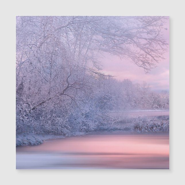 Hiver 2019-01 (Devant)