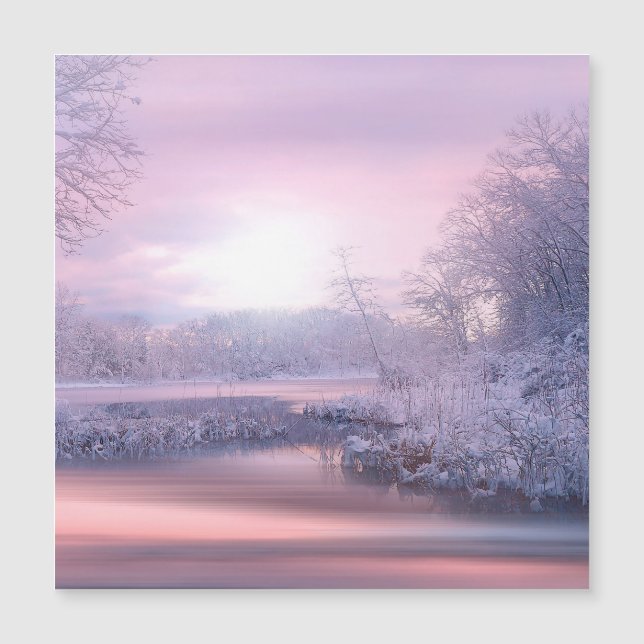 Hiver 2019-02 (Devant)