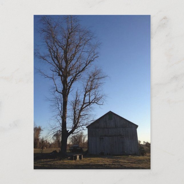 Hiver à Windsor, carte postale CT (Devant)