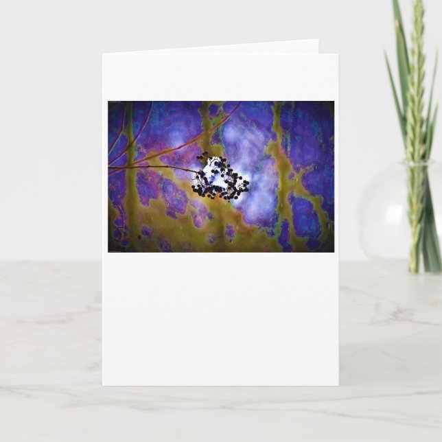 Hiver, carte (Devant)