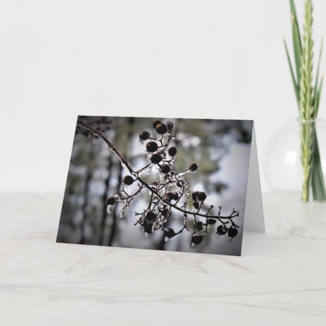Hiver, carte (Devant)