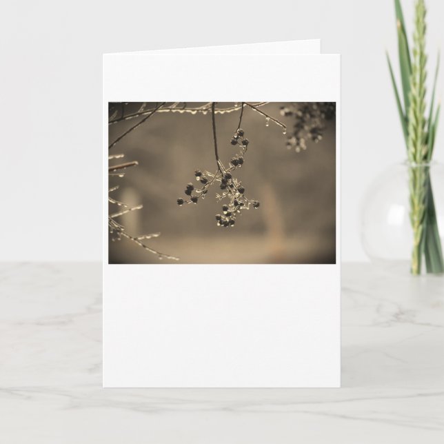 Hiver, carte (Devant)