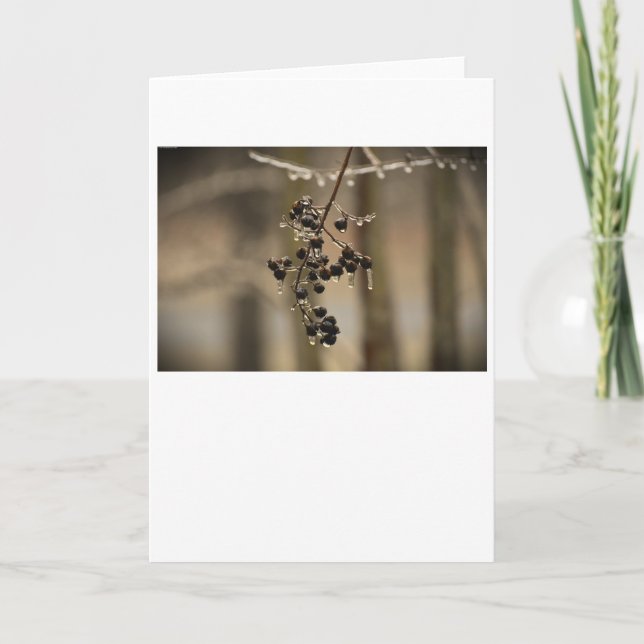 Hiver, carte (Devant)