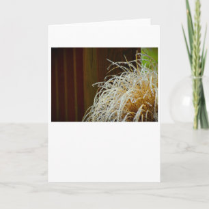 Hiver, carte