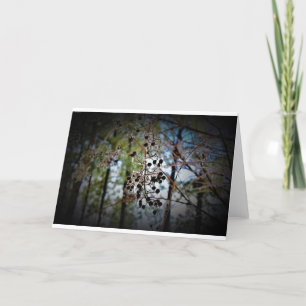 Hiver, carte