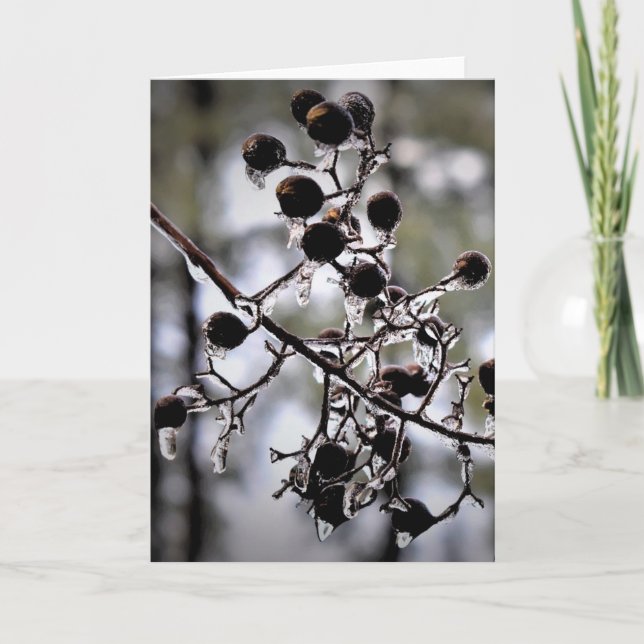 Hiver, carte (Devant)