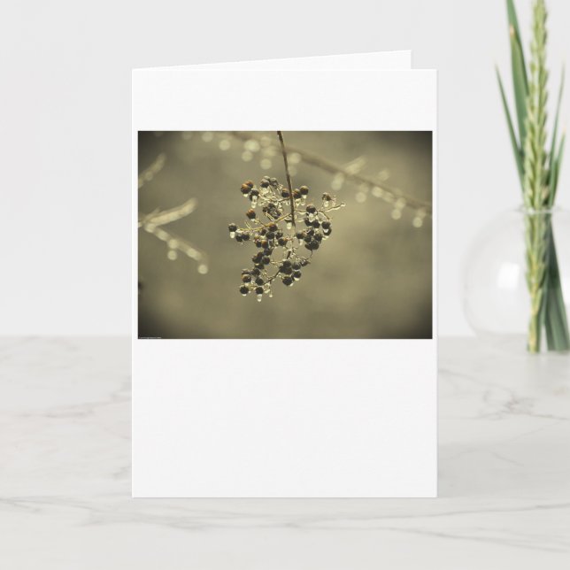 Hiver, carte (Devant)